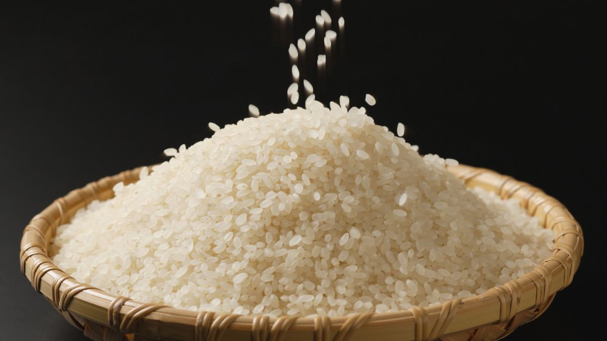 This Extraordinary Rice Costs Over $100 Per Kilogram and Japanese People Savor It Only Once a Year