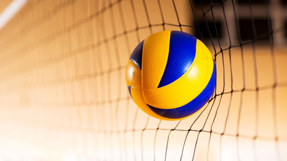 Japanese Volleyball Star Transforms Service Error Into The Most Sincere Apology: “It Was A Work Of Art”