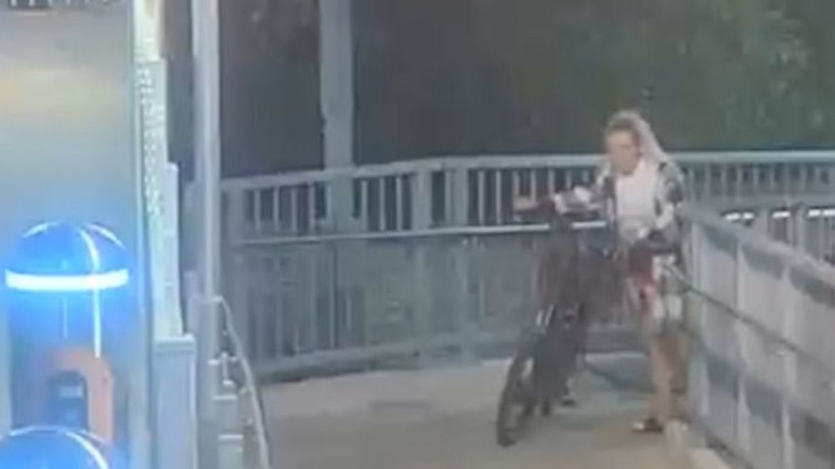 The Man Who Grabbed a Snake on a Sydney Platform: “He’s Either a Hero or an Idiot”