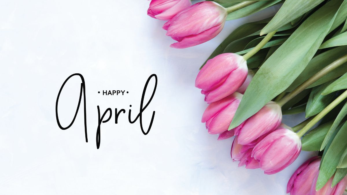 Capricorn Horoscope for April 2026: Your Monthly Stars Revealed