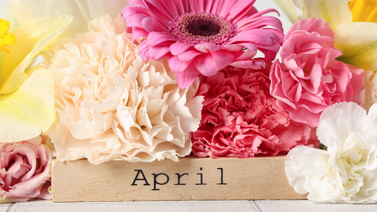 Taurus for April 2026: Your Monthly Stars Revealed