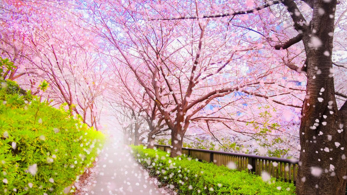 Leo Horoscope for April 2026: Your Monthly Stars Revealed