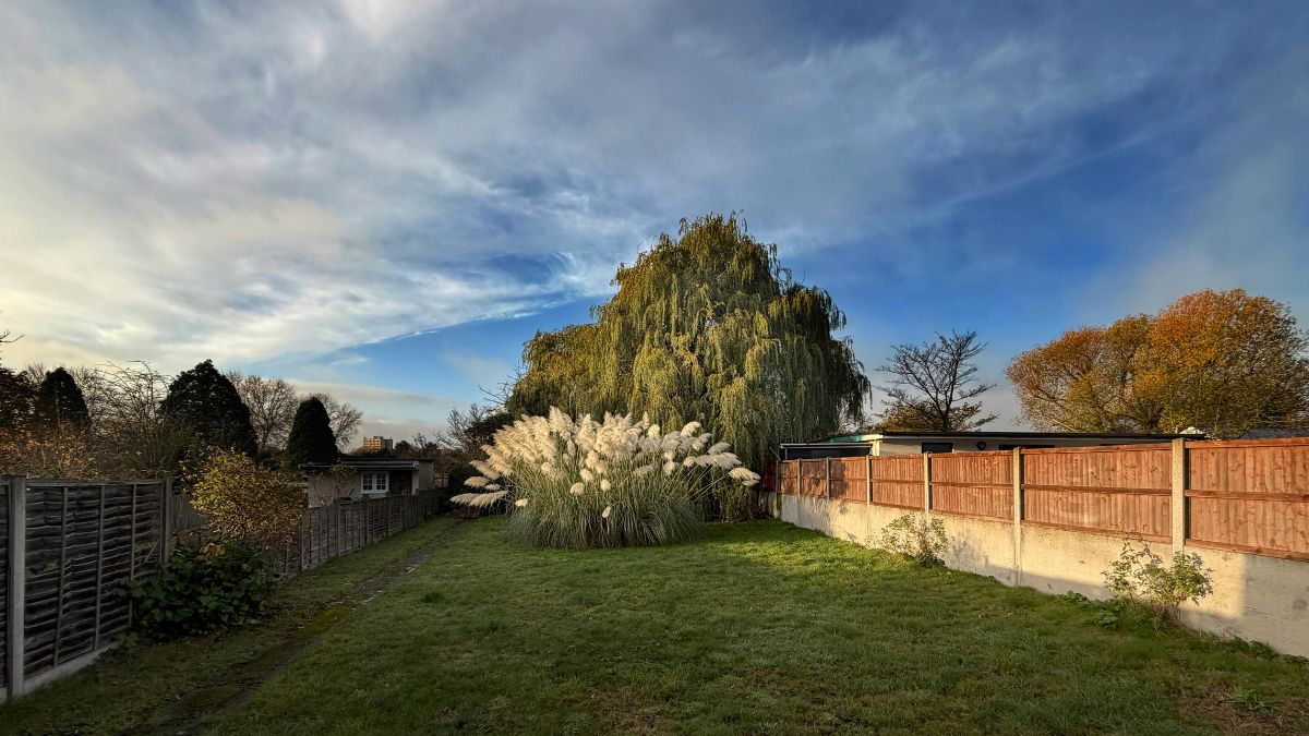 Embarrassing Things You Leave in the Backyard That Destroy Your Property Value