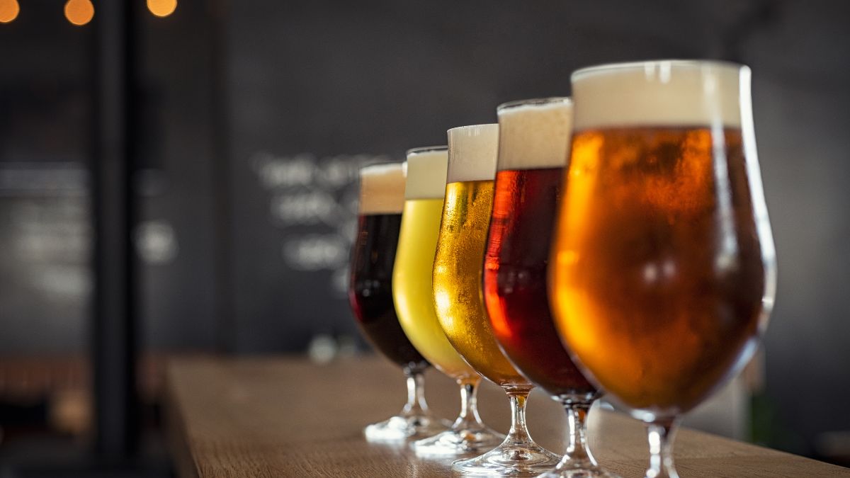 Bear Scat Beer: “A Light, Drinkable Lager Tied to a Bear’s Diet”