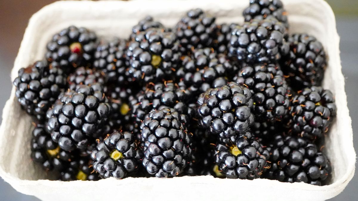 Astringent Foods Like Blackberries and Kale May Trigger a Brain Response Similar to Exercise