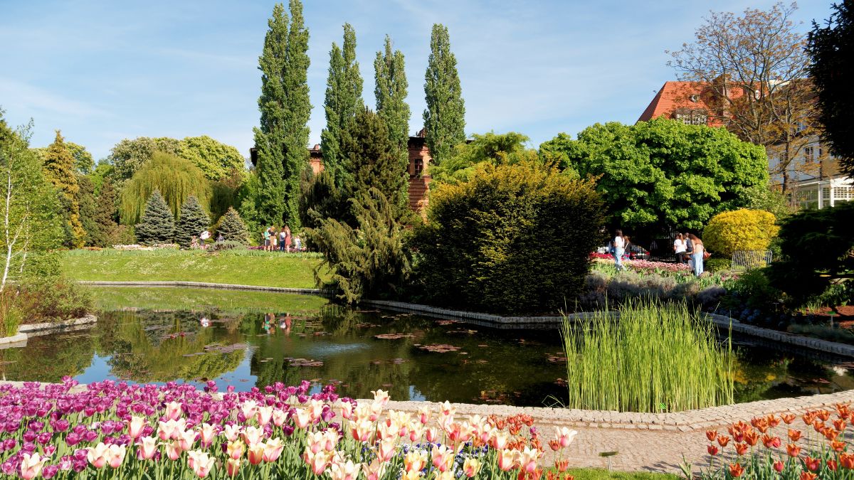 Surprising Things You Can Do for Free in Almost Every US City