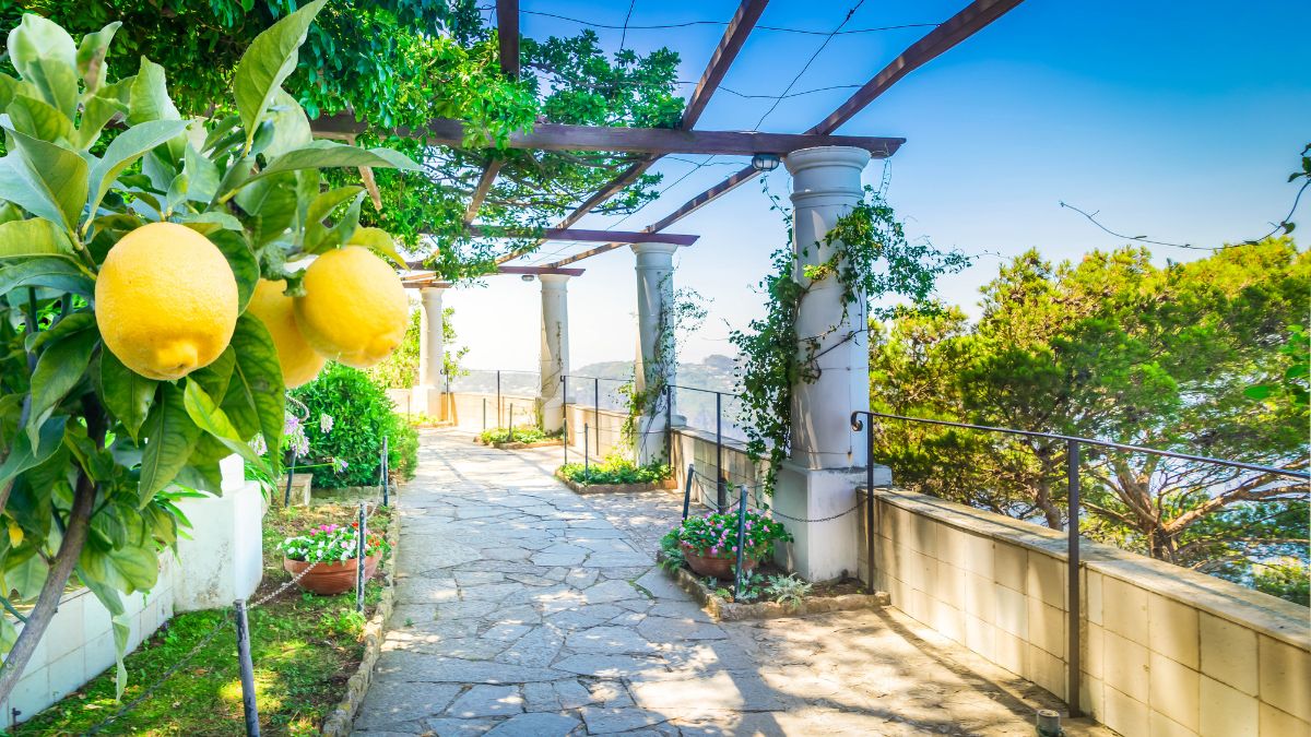 The Best Islands to Visit in the Mediterranean