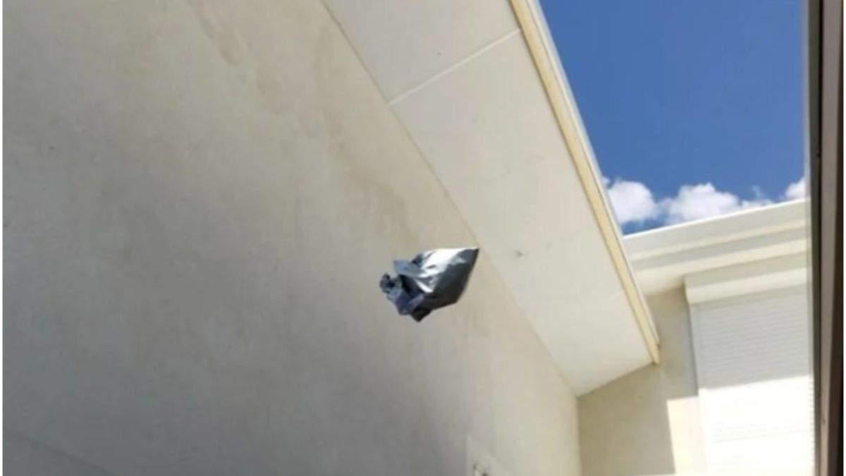 A Woman Asked Her Mail Carrier to Throw a Package Over the Gate and the Proof-of-Delivery Photo Is Priceless