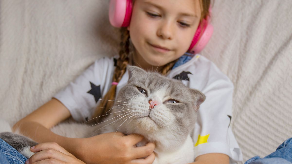 The Best Cat Breeds for Families with Young Kids