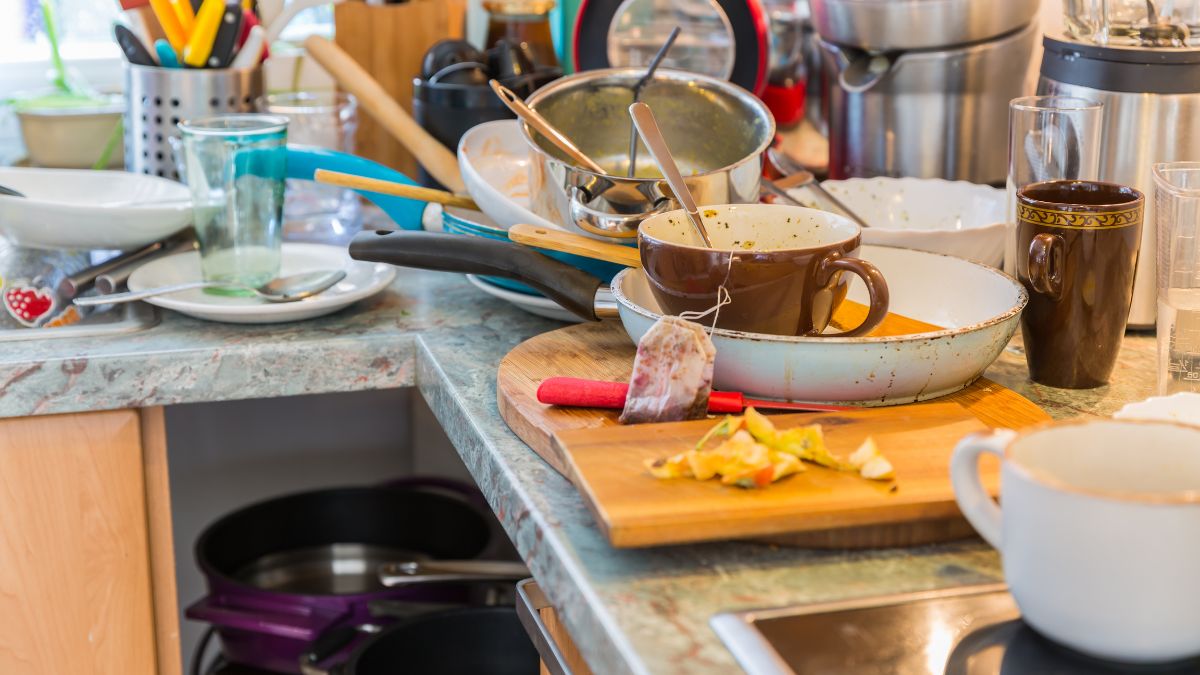 25 Gross Things You Are Touching in the Kitchen Without Realizing It