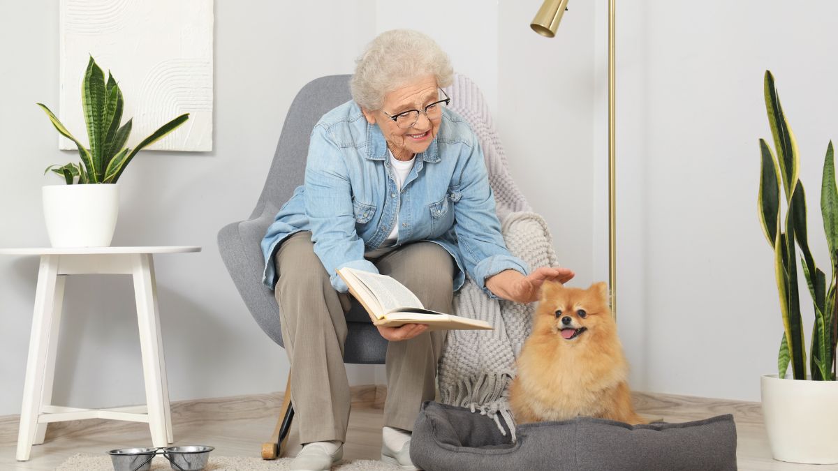 The Best Dog Breeds for Seniors Who Want a Companion