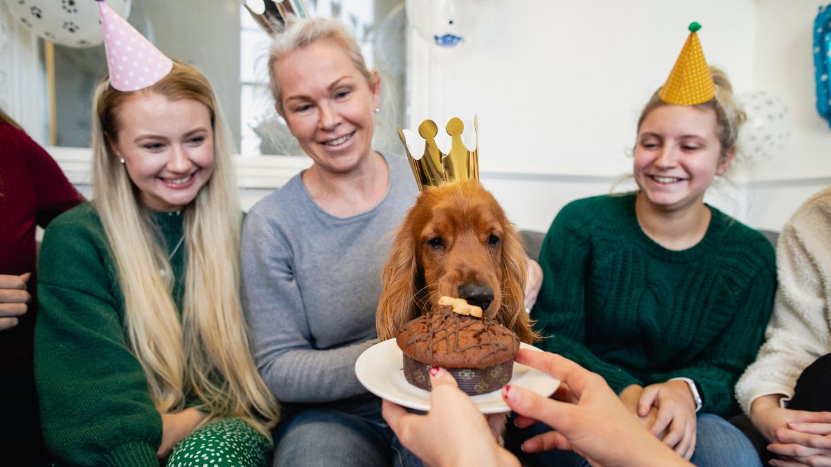 20 Signs Your Dog Is Actually the One Running Your Household