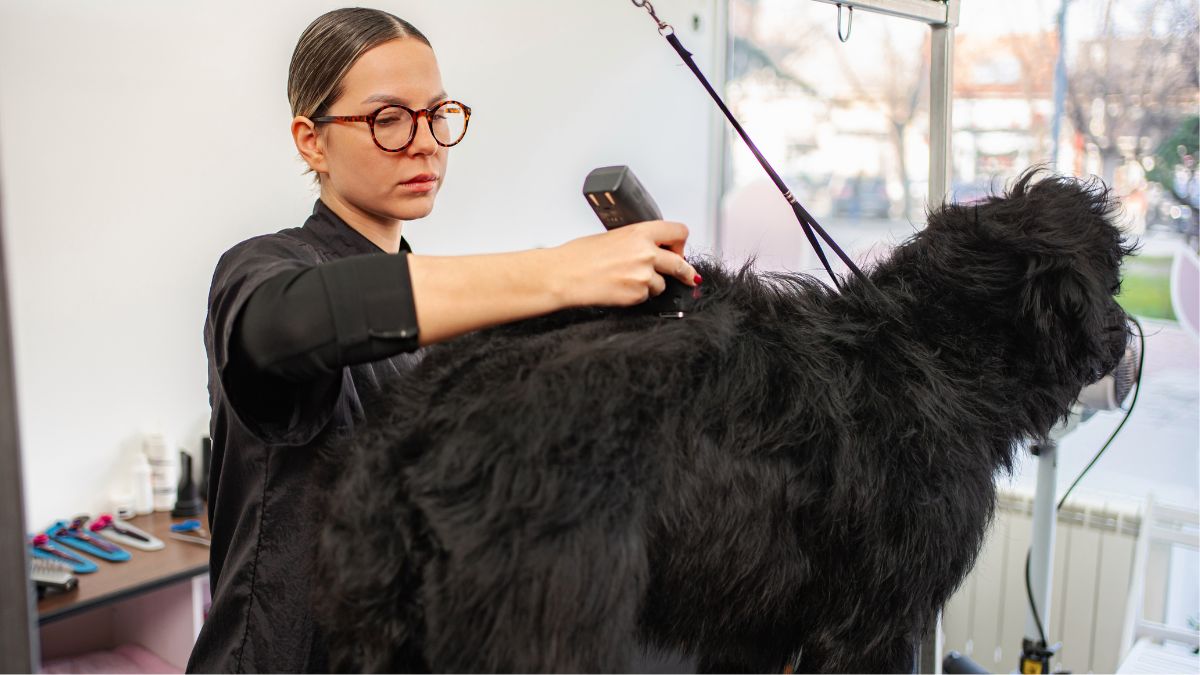 Gross Things Pet Owners Do That Make Dog Groomers Secretly Judge Them