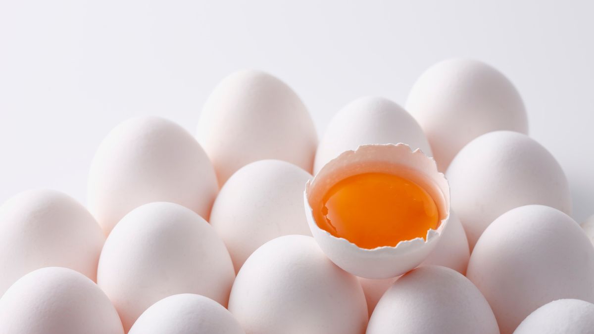 Why Some Egg Yolks Are Darker Than Others and What It Actually Tells You About Quality