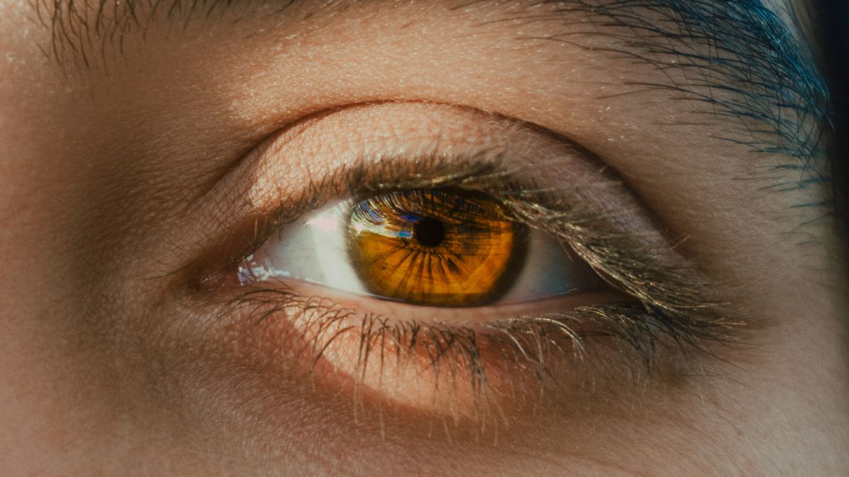 Foods That Are Good for Your Vision