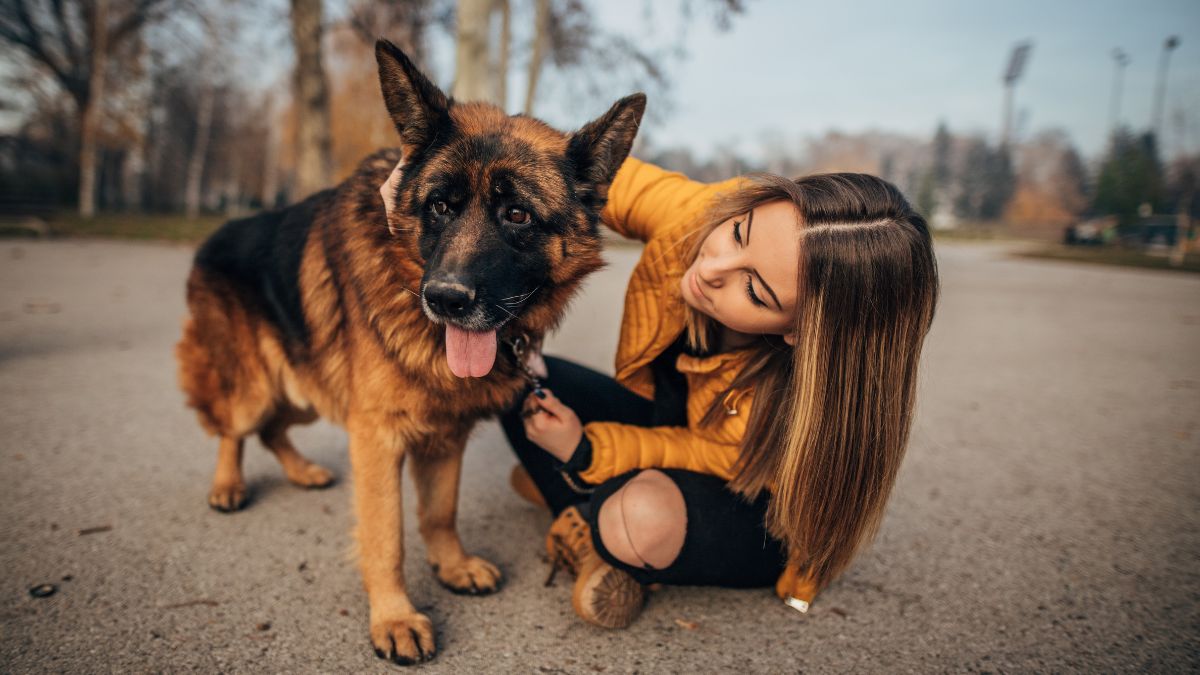The Best Dog Breeds for Protection and Security