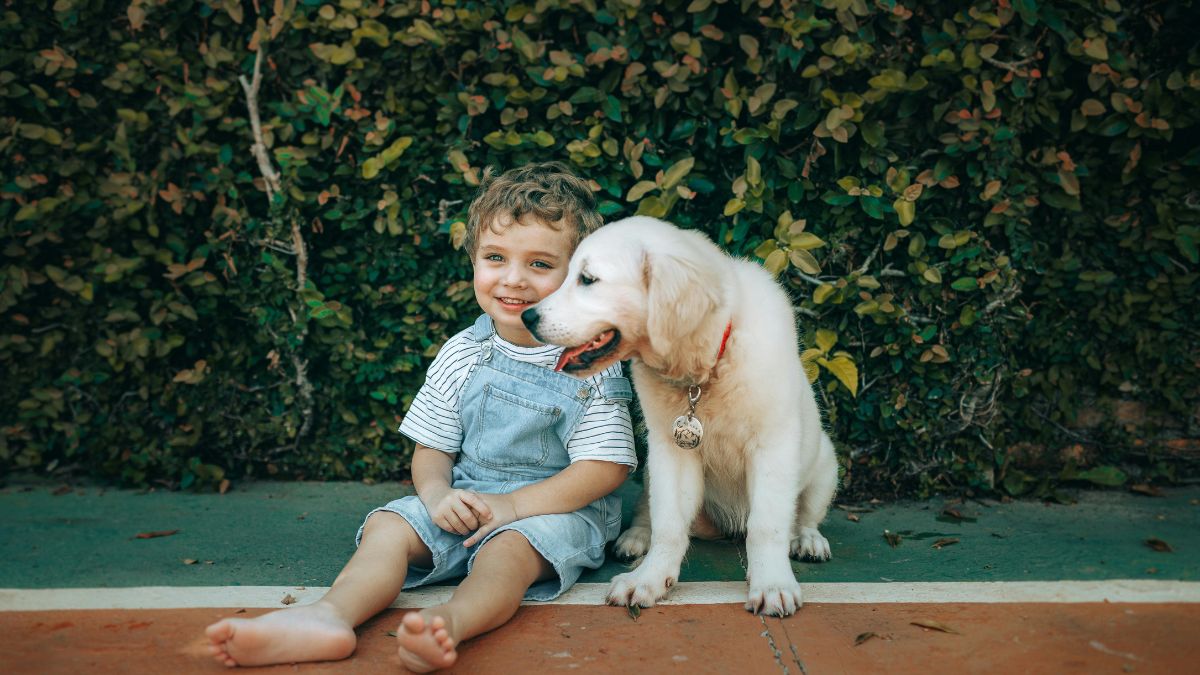 Are Golden Retrievers Actually Good Family Dogs? Here’s What an Expert Wants You to Know