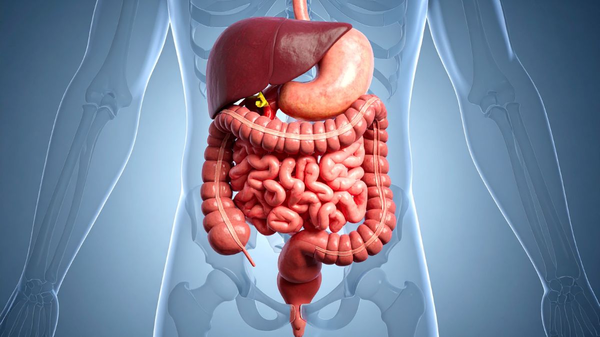 Subtle Red Flags Your Gut Microbiome Is Out of Balance