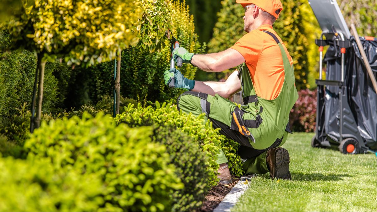 Landscaping Mistakes That Are Ruining Your Property Value