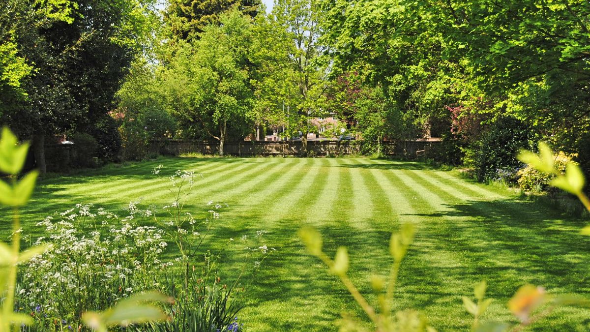 Common Landscaping Mistakes That Are Secretly Destroying Your Lawn