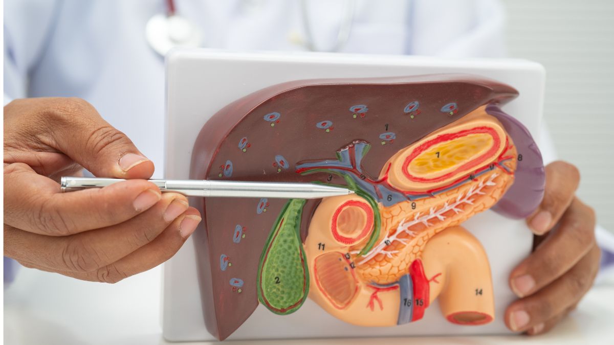 Foods That Are Good for Your Liver and Kidneys