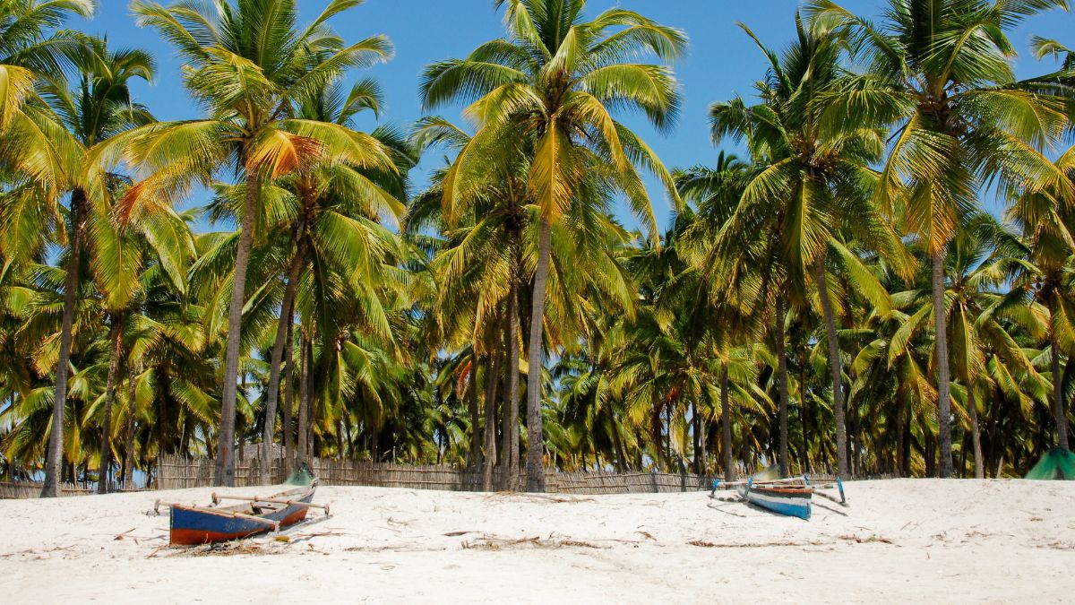 A Traveler Who Visited 105 Countries in 12 Years Revealed the 5 Places He Would Never Return To