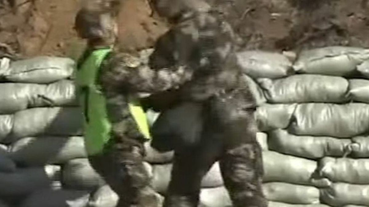 Quick Reflexes Save Lives and These Everyday Heroes Prove It