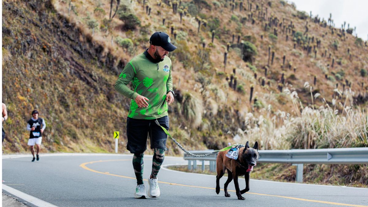 The Best Dog Breeds for Runners and Active Owners