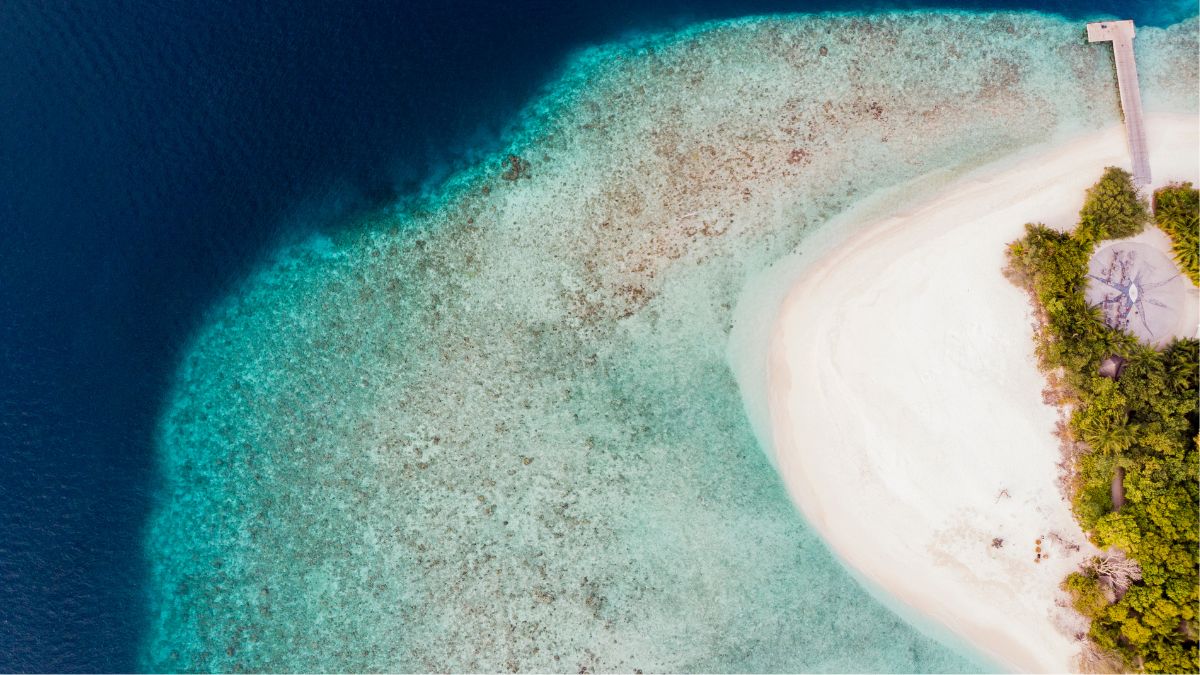 The Island Where Billionaires Buy Homes and Security Rivals a Fortress