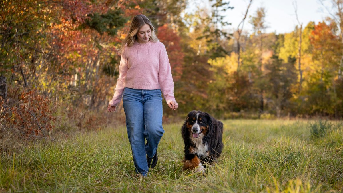 The Best Dog Breeds for Therapy Work