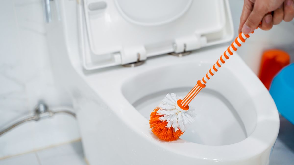 A Reddit Post About a Toilet Brush Sparked an Internet Debate: “Is It Normal That My Wife Replaces It So Often?”