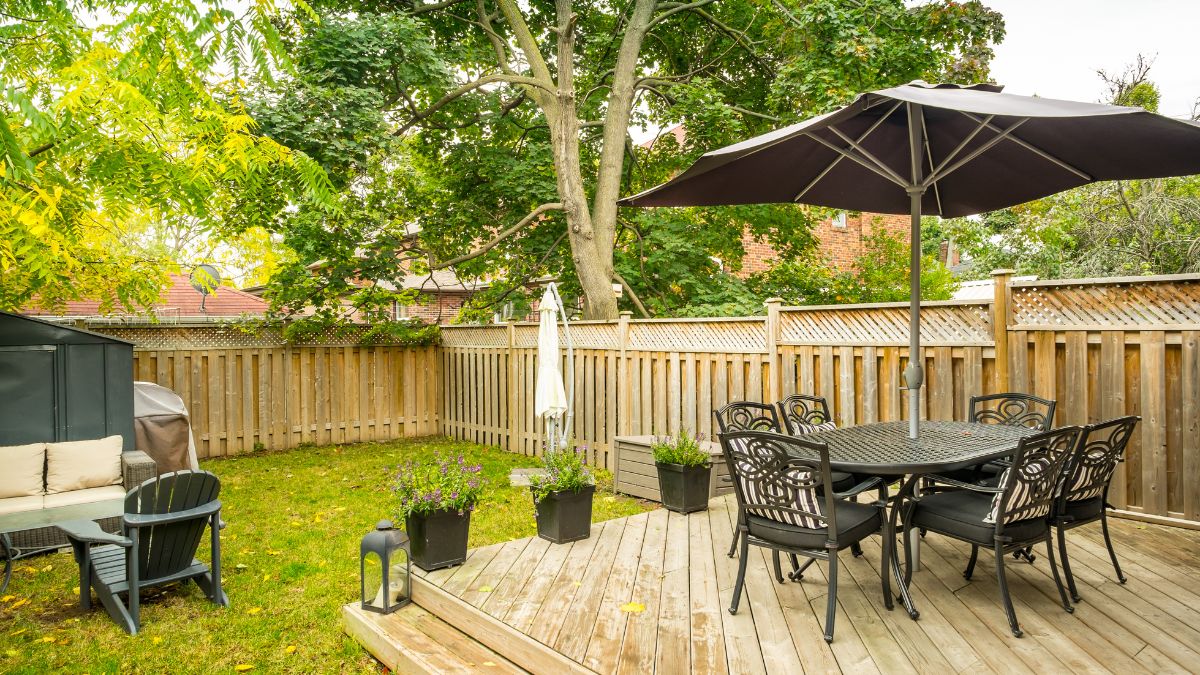 Everyday Things in Your Yard That Are Attracting Dangerous Wildlife