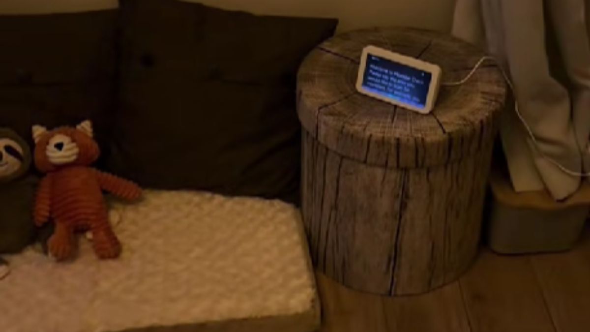 How Alexa Helped a Boy Overcome His Fear of Sleeping Alone