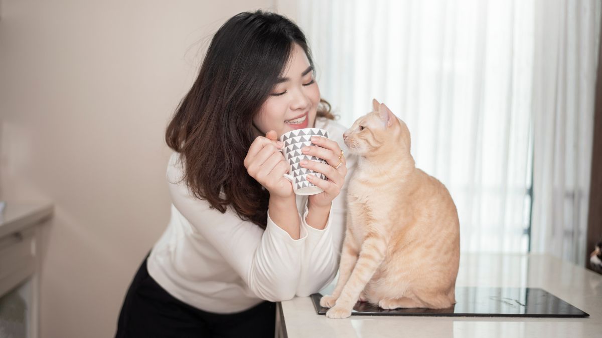 Are Cat Lovers Smarter Than Dog Lovers According to Science