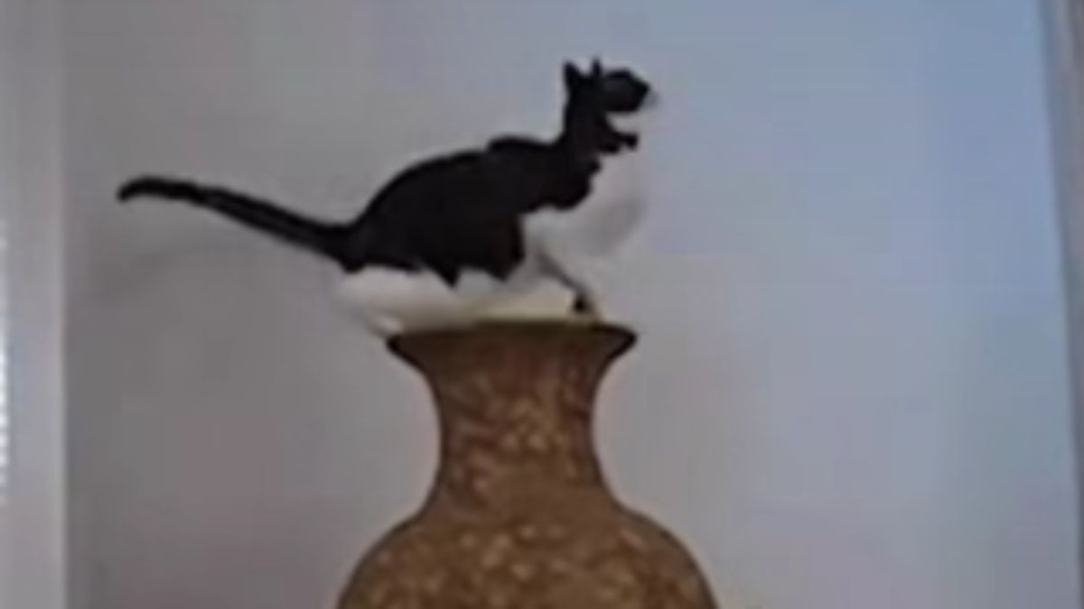 Cats Cost Their Owners Dearly, See What Kind of Mess They Made