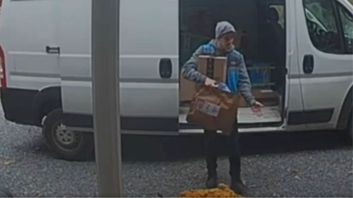 A Cat Discovered Her Version of El Dorado and Refused to Leave