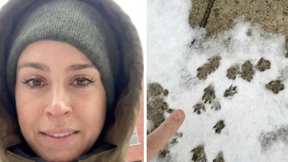 She Walked Through New York After a Snowfall and Was Horrified by One Detail: “Rats Rule This City”