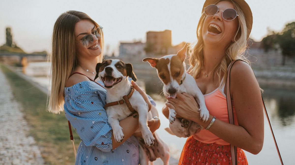 Dog Trainer Reveals the Five Types of People Who Should Not Own a Dog