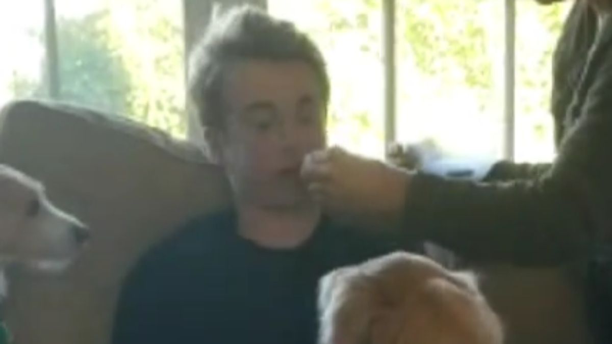 A Man Under Anesthesia Mistook His Dogs for Dinosaurs and It Went Viral