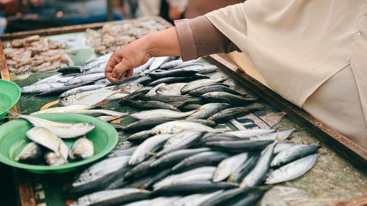 The Healthiest Fish You Can Eat Is Also the Most Affordable One