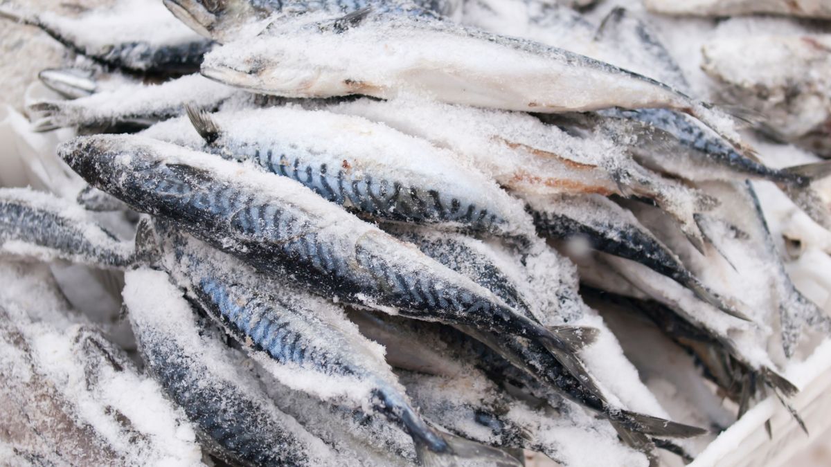 Fish Is Expensive but Here Is Which Varieties Are Actually Worth Buying and Which to Avoid