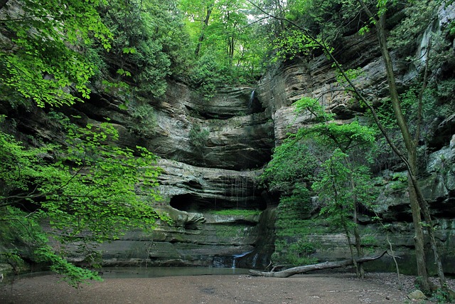 Starved Rock Park