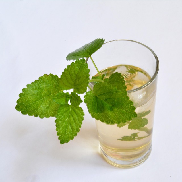 Lemon Balm Tea