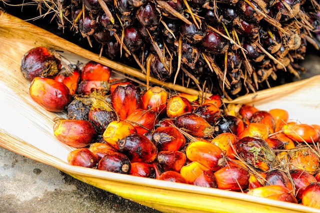 Palm Oil Food