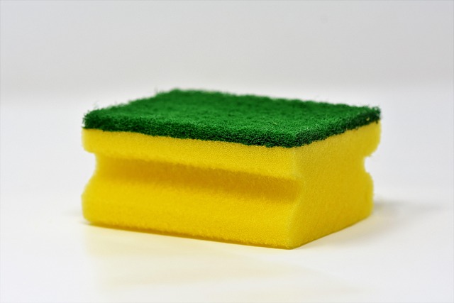 Dish Sponge Things