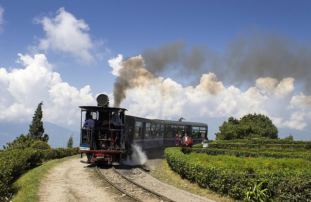 Darjeeling Train Ride