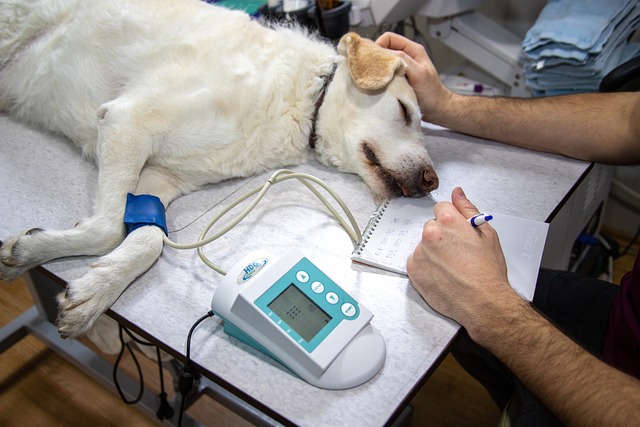 Health Monitoring Pet
