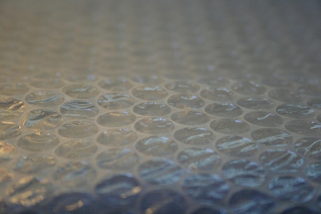 Bubble Wrap Item