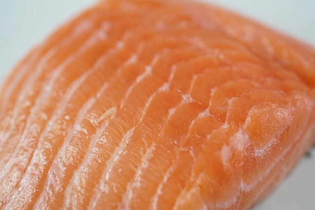 Farm-Raised Salmon Food