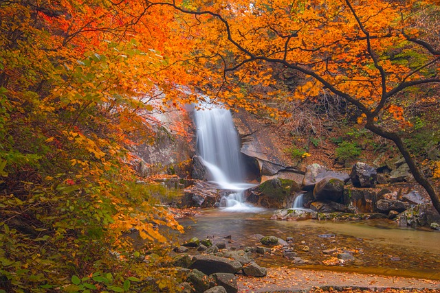 Rifle Falls Waterfall